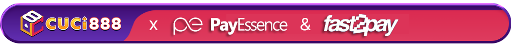  TopUp PayEssence & Fast2Pay